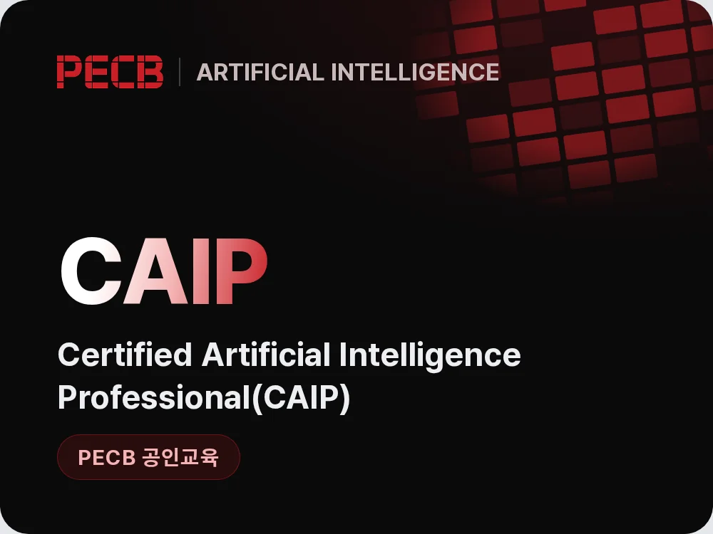 Certified Artificial Intelligence Professional(CAIP)